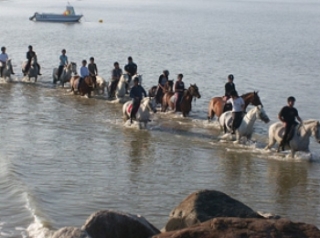 Centre Hippique de la Mer